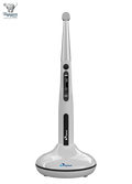 EIghteeth Curing Pen